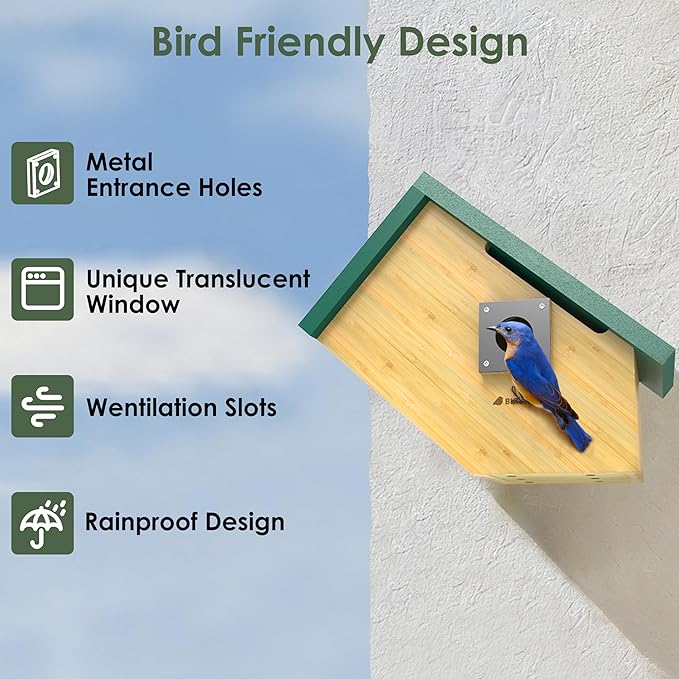 Birdkiss Smart Bird Houses for Outside Solar Powered, 1080P HD Live View Birdhouse with Camera, Perfect Viewing Bird Nesting and Hatching, Ideal Outdoors Bird House for Blue Bird and Cardinal (Green)