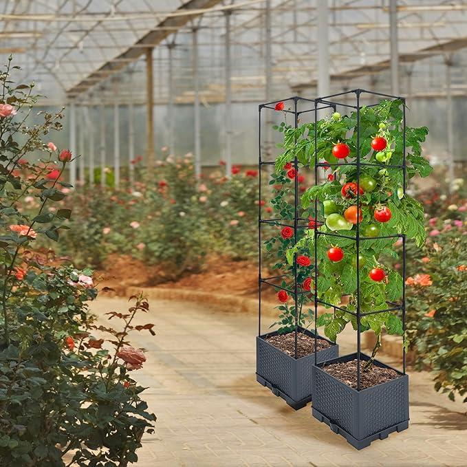 Raised Garden Bed Planter Box, 1 Pack 56" Self-Watering Tomato Planter with Trellis for Climbing Vegetables Plants Grape Fruit Flowers,Use for Indoor Outdoor Garden Patio