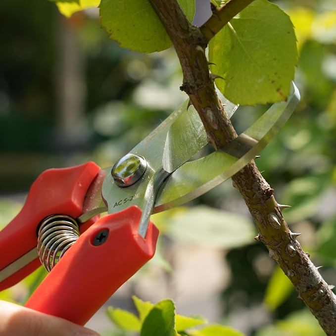 AGRICUT 7" Pruning Shears Heavy Duty Professional, Made of Japanese SK5 Steel Blades, 4/5 Cut Capacity, Bypass Hand Pruners Garden Clippers for Tree Flower Branch Trimming, S20E