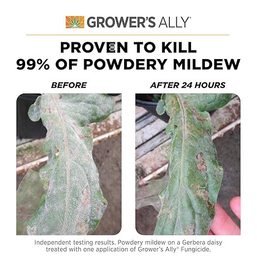 Grower's Ally Fungicide for Plants Concentrate - Indoor Outdoor Plant Fungicide Treatment Control for Powdery Mildew, Alternaria Blight, Rot, Fungus - Trusted by Cultivators - 32 Oz, Makes 20 Gallons