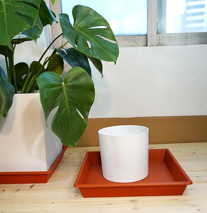 NIMYAU Square Plant Saucer 8 Inch 5 Pack, Plant Stand Plant Trays for Pots Heavy Duty Plastic Plant Saucers for Indoors Outdoors, Flower Pot No Holes Terracotta Plant Lover Gardening Gifts