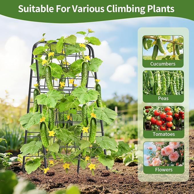 100% Metal Cucumber Trellis for Raised Bed,50"x17" A-Shape Garden Plant Support for Climbing Plants, Heavy Duty Metal Garden Trellises Plant Support for Vine Vegetables Outdoor (Black, 50"x17"(H*W))