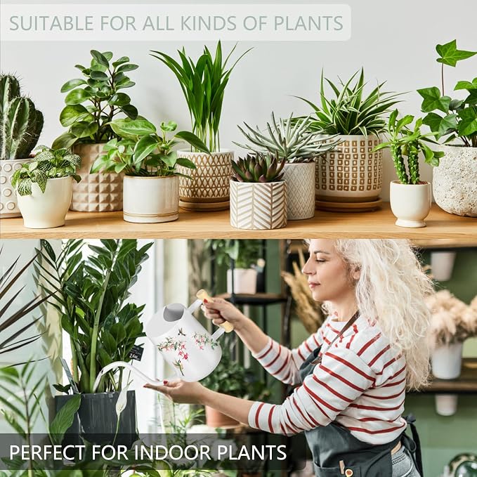 Watering Can Indoor Plants, 35oz Small Stainless Steel Metal Watering Can Modern Decorative Watering Pot with Long Spout for Indoor House Plant Bonsai Garden Flowers (White 1)