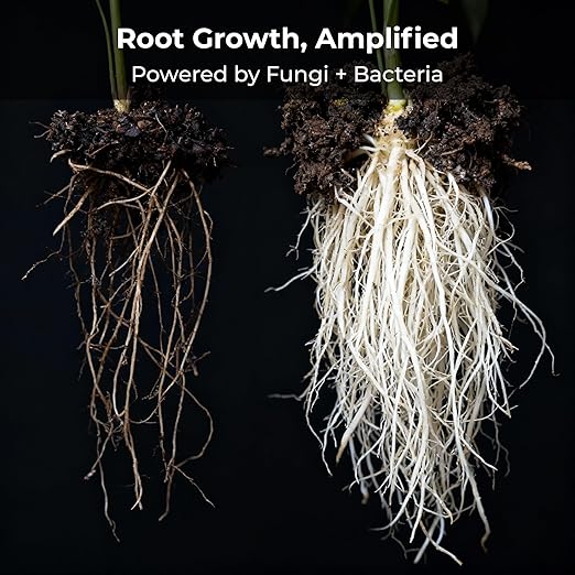 Real Growers Recharge – 5lb | Mycorrhizae Soil Microbe Inoculant for Living Soil & Coco Coir | Improves Nutrient Uptake & Root Growth