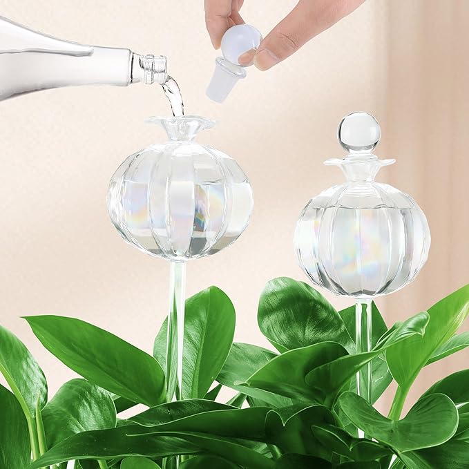 Soilagua 10 oz Large Top Fill Cactus Plant Self Watering Globes, Light Iridescent Glass Water Bulbs, Slow Release Watering Devices System Indoor | Outdoor Everyday Use, Water Spikes Stakes, 2 Pack
