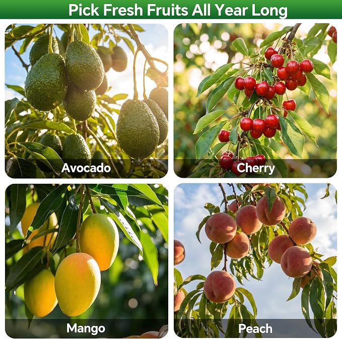 Walensee 8FT Fruit Picker Pole Tool with Large Basket, 35-95 Inch Adjustable Mango Picker, Durable Cherry Picker for Tree, Fruit Catcher for Avocado Pear Lemon Orange Apple
