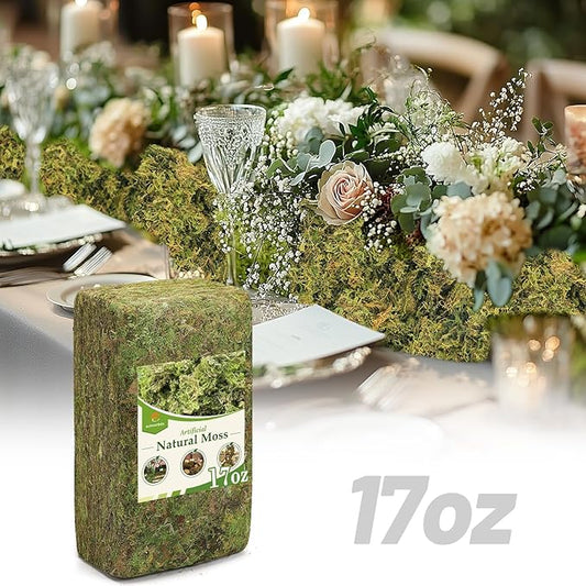 Alphatool 17oz Large Pack Natural Green Moss for Crafts - Bulk Moss for Plants Indoor, Artificial Fairy Gardens, Mosswall, Glass Terrariums, Filling Fake Plants, Home Decoration, Professional DIY Use
