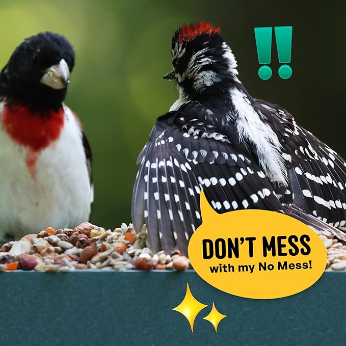 Cool Birds No Mess with Fruit Wild Bird Seed – 10 lb. 100% Edible Shell-Free Blend with Sunflower Hearts, Peanuts, Tree Nuts, Pumpkin Seed & Real Fruit – No Waste Bird Seed for Outside Feeders