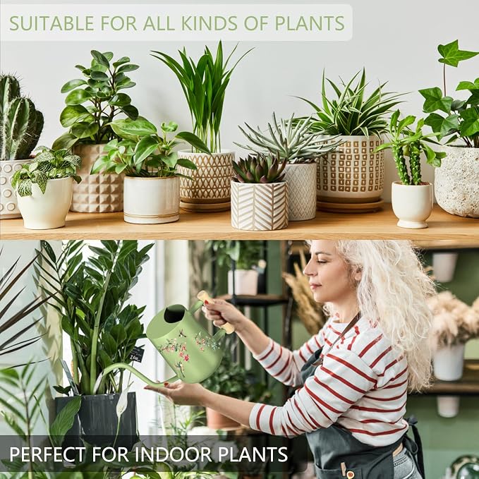 Watering Can Indoor Plants, 35oz Small Stainless Steel Metal Watering Can Modern Decorative Watering Pot with Long Spout for Indoor House Plant Bonsai Garden Flowers (Saga Green 2)