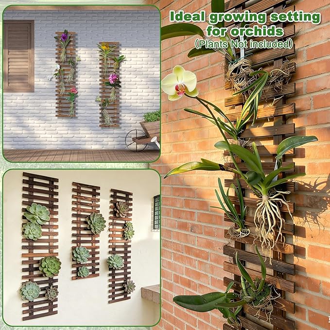Mulctun Wall Planters - 11.4" W x 47.24" H Wooden Wall Planters for Indoor Outdoor Plants,Hanging Wood Wall Trellis,Wall Mounted Plant Holder for Orchids,Succulent,Air Plants,Hanging Pots Display