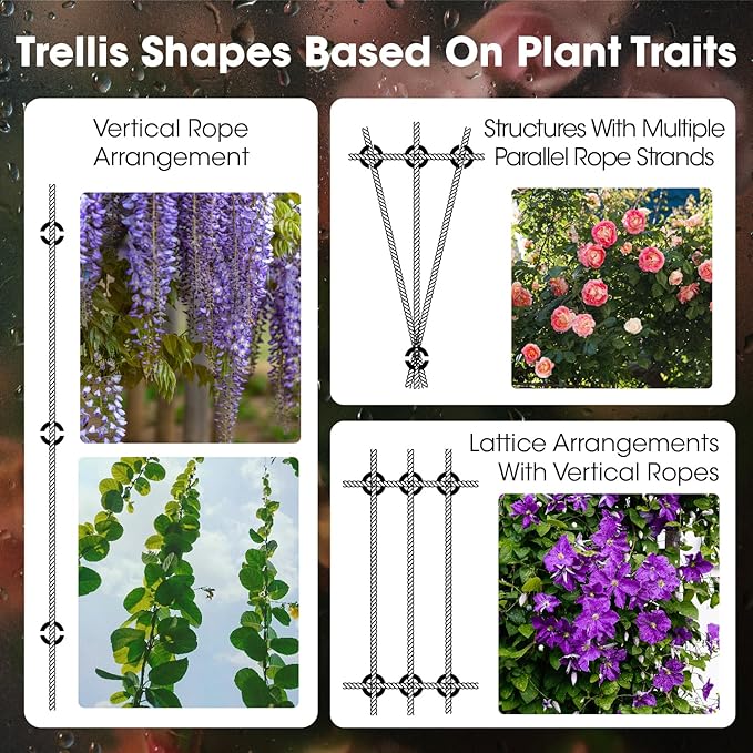 Professional T316 Stainless Steel Wire Trellis Kit for Climbing Plants Outdoor, Heavy Duty Plant Support System (53Ft x 1/8"), Garden Wire Grid Espalier Trellis Kit with Rust Proof Design