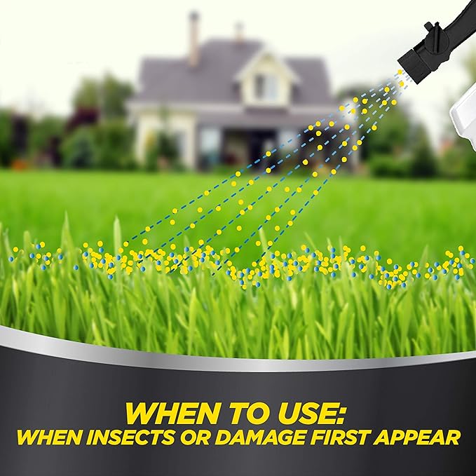 Central Garden Excel 100522991 Ready to Spray Insect Killer, 32 Ounce, None (Pack of 2)