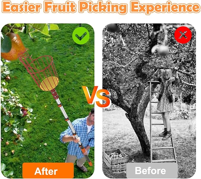 SISIUPASSIE 36FT Reach Fruit Picker, Apple Picker Pole with Basket Telescoping Tool for Apple Lemon Orange Mango Avocado Fruit Tree Picking