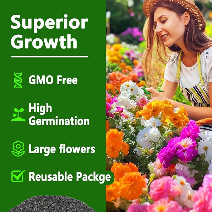 LUOJIBIE Moss Rose Seeds, 20,000+ Bulk Flower Seeds for Planting Outdoors(99% Pure Live, Non-GMO), Mixed Colors and Large Blooms, Attracts Pollinators, Easy to Grow