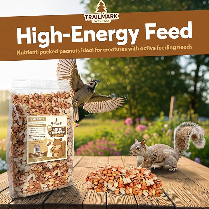 11 LB - Raw Shelled Peanuts for Squirrels, Out of Shell Peanuts for Birds and Wildlife- Squirrel Food, Wild Bird Seed - Grown in The USA