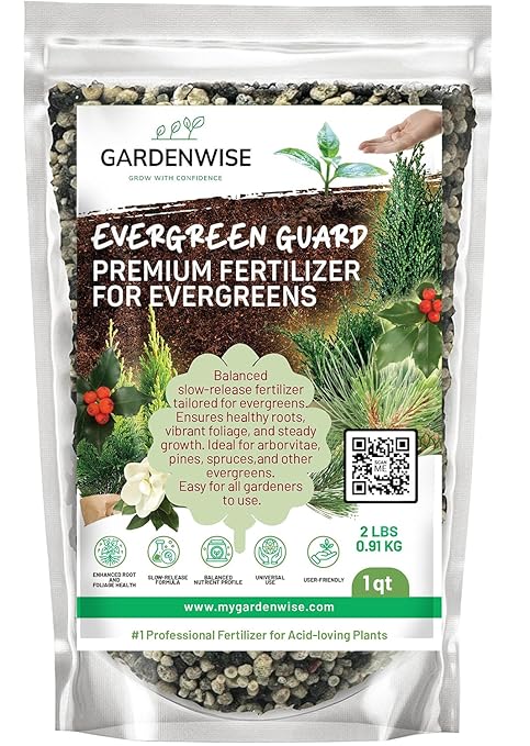 GARDENWISE Evergreen Fertilizer – All-Purpose Granular Plant Food for Outdoor Trees and Shrubs, Azaleas, Magnolias, Pines & Arborvitae – Slow-Release Formula (3 quarts)