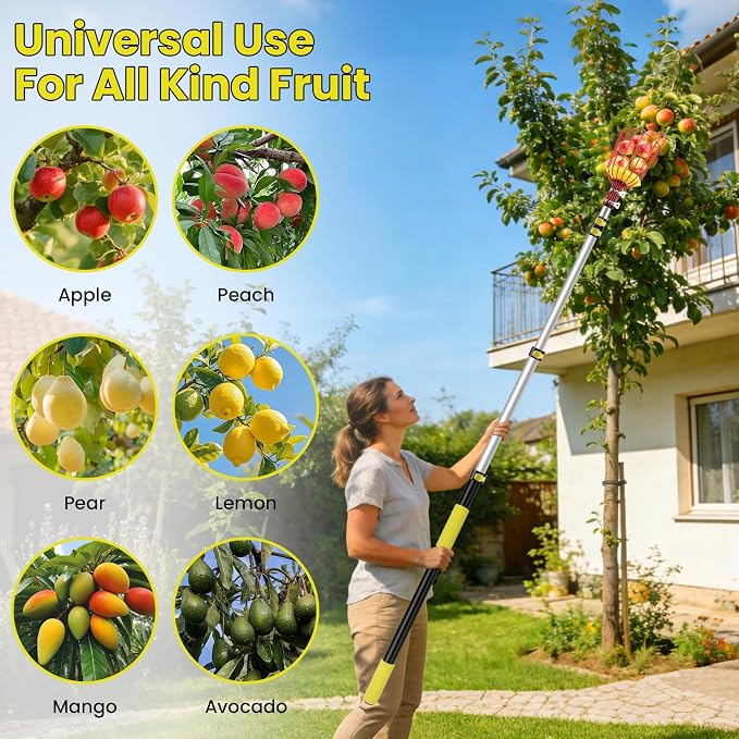 20FT Reach Fruit Picker with Basket, Apple Picking Tool Telescoping Pole, Long-Handle Mango Grabber, Tree Fruit Catcher for Harvesting Lemon Pear Orange Avocado Peach Citrus Grapefruit