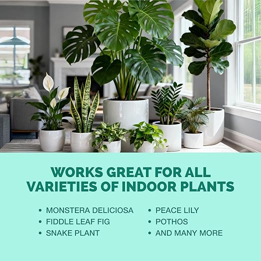 Indoor Plant Food – Liquid Fertilizer for Houseplants, New Growth, Greener Leaves, and Strong Roots, 1 Gallon