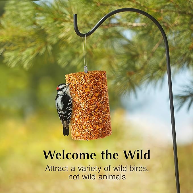 C&S Ready to Use Hot Pepper Bird Seed Cylinder, Spicy Wild Bird Outdoor Feeder with Hanger, 1.76 Pound Cylinder, 2 Pack