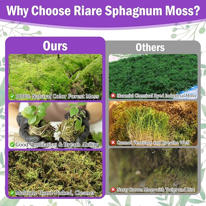 Riare 3.3LBS Premium Sphagnum Moss for Plants- 60QT Natural Dried Plant Moss for Potted Plants, Orchid Moss for Repotting, Soft Green Decorative Moss for Succulents, Reptiles & DIY Crafts