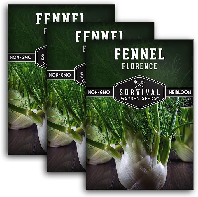 Fennel Seed for Planting - 3 Packets with Instructions to Grow Cool-Weather Florence Fennel (Finnochio) in Your Home Vegetable Garden - Non-GMO Heirloom Variety - Survival Garden Seeds