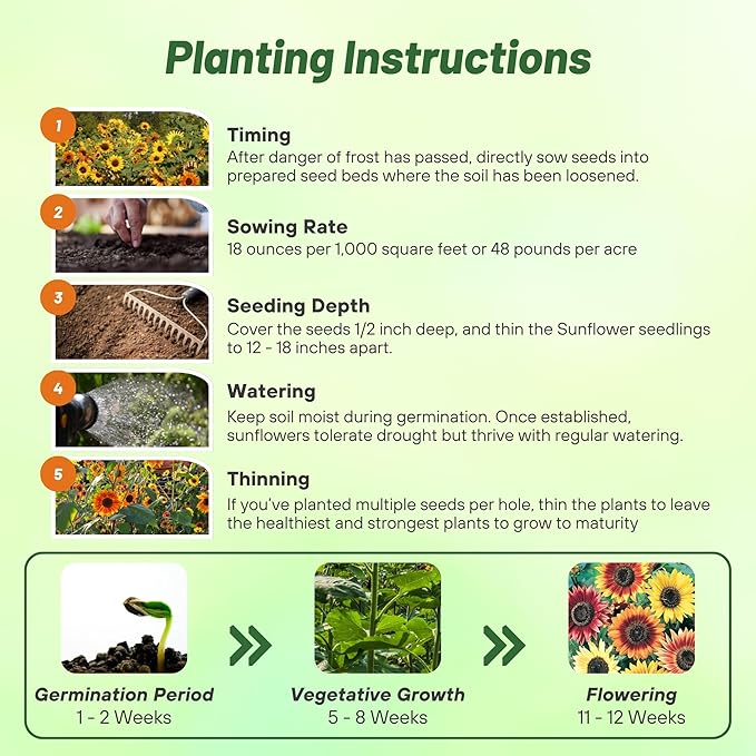 Outsidepride Autumn Beauty Sunflower Seeds for Planting - 1 Lb. Annual, Easy to Grow Flower Seeds w/Vibrant, Abundant Blooms for Cut Flower Arrangements & Pollinator & Vegetable Gardens
