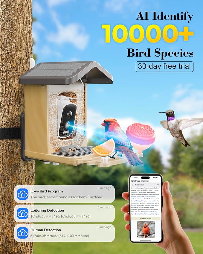 Bird Feeder with Camera Solar Powered, Bird Feeders for Outdoors with DIY Add-ons - Honey Jar & Fruit Fork & Squirrel Proof Net & 32GB SD Card, AI Identify Birds, Ideal Present for Birdlover