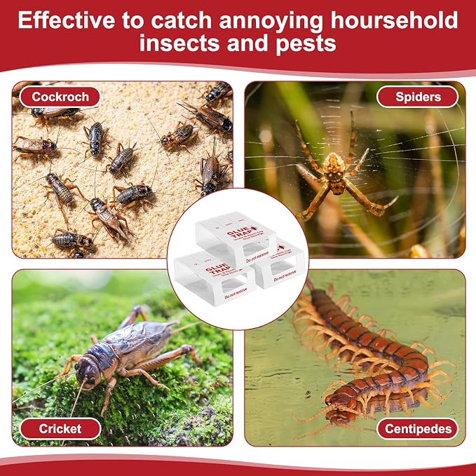 Qualirey 60 Pack/20 Sheets Spider and Insect Glue Insect Traps Glue Boards Bulk Adhesive Cockroach Cricket Sticky Traps for Mice Spider Moth Cockroaches Cricket House Indoor Outdoor