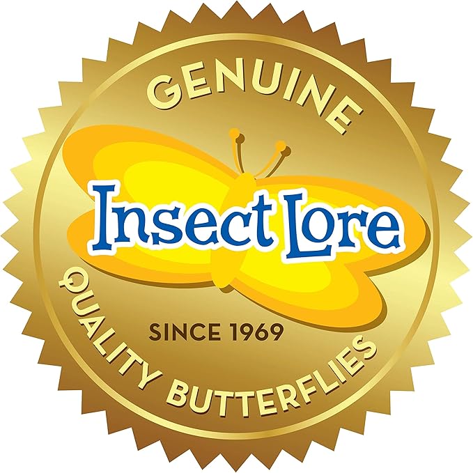 Insect Lore Two Cups of Caterpillars - Butterfly Garden Kit Refill – Raise and Release Painted Lady Butterflies – Includes Two Chrys-A-Lid Holding Logs and Instructions