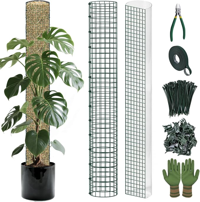 Metal Moss Poles for Climbing Plants, D-Shape Sphagnum Moss Pole Monstera Plant Support for Climbing Plants, DIY Plant Stakes Work with Sphagnum Moss (4ft D-Shaped & 6ft Round)