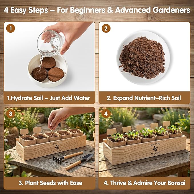 Bonsai Tree Starter Kit for Beginners 5 Unique Indoor Bonsai Trees with Gardening Tools DIY Bonsai Growing Kit Perfect Gifts for Women Men Plant Lovers for Birthday Mothers Day Housewarming