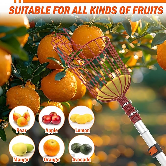 LAANPOLE 20FT Reach Fruit Picker Pole with Basket Telescoping, Apple Picker with 3-12FT Telescoping Pole for Apple Orange Lemon Mango Avocado Guava Fruit Picking