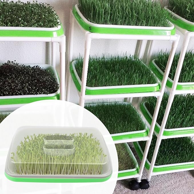 10 Pack 12.6 x 10 x 4.8 inch Microgreens Growing Trays with Lids, BPA-Free Sprouting Trays, Germination Tray for Beans, Wheatgrass & Microgreens, Home, Kitchen & Garden