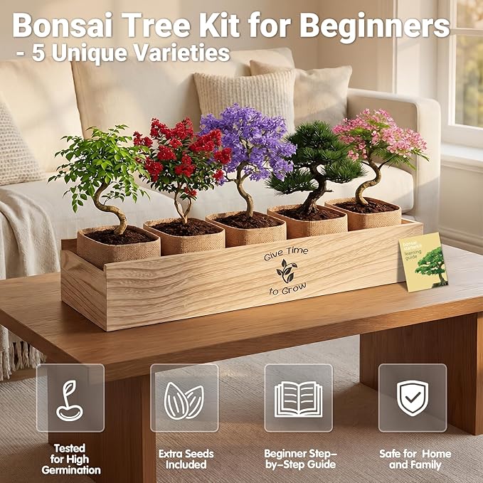 Bonsai Tree Starter Kit for Beginners 5 Unique Indoor Bonsai Trees with Gardening Tools DIY Bonsai Growing Kit Perfect Gifts for Women Men Plant Lovers for Birthday Mothers Day Housewarming