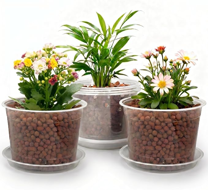 8 Inch Clear Nursery Pots with Drainage Holes and Saucers, 6 Pack Clear Pots for Plants Variety Pack, Seedling Pots for Succulents, Herbs, Flowers, Vegetables