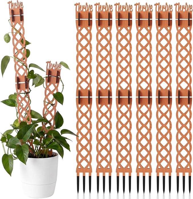 6 Sets Wooden Extendable Plants Trellis Indoor Modular Plant Trellis with Wood Thrive Sign Decor and Extensions for Outdoor Climbing Houseplants Vine Flower Stem(Diamond)