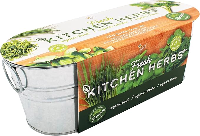 BUZZY Seeds 2-Pack Windowsill Grow Kits, Strawberry and Organic Herb Gardening Set with Basil, Cilantro, Chives, Non-GMO Seeds, Growing Medium and Planters, Housewarming Gift Idea