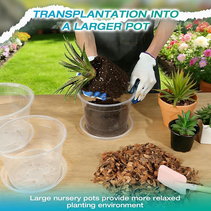 10 Inch Clear Nursery Pots with Drainage and Sacuers, 4 Pack Plastic Pots for Plants Indoor Outdoor, Large Clear Pots for Flowers, Succulents (10inx4pcs)