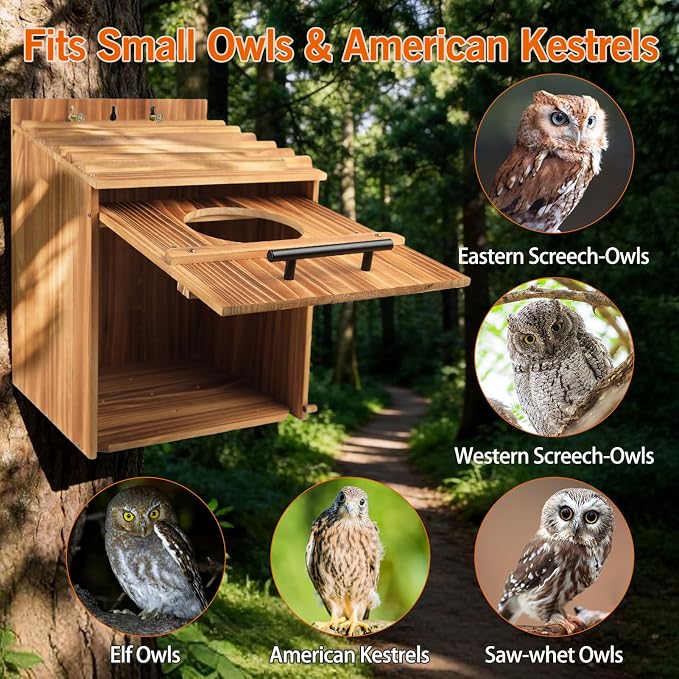 Large Owl House for Outdoors, 17" x 12.5" x 12.5" Premiun Wooden Owl Boxes for Outside, Bird Nesting Box - Habitats for Barn, Screech, Boreal, Saw - Whet & Elf Owls