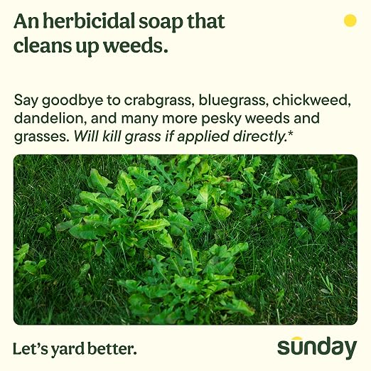 Sunday Weed Warrior Concentrate Kit, Organic Weed & Grass Killer, OMRI Listed Herbicidal Soap, Kills Dandelion, Crabgrass, Clover, Moss, (2) 22 fl oz Concentrate + Reusable Pouch + Wand Sprayer