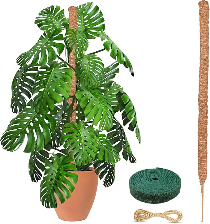 EcoNour Tall Moss Pole for Plants (1-Pack) 48-Inch | Large Monstera Plant Support for Climbing and Growth | Elevate Your Indoor Garden | Tall Plant Support for Indoor Potted Plants to Grow Upwards