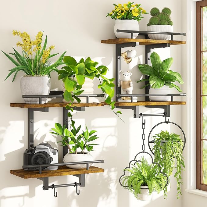 iDavosic.ly Wall Plant Holder Set of 2, 2 Tier Indoor Floating Shelves with 4 Hooks for Hanging Plants, Wall Mounted Space Saving Display Stand for Living Room Bedroom (Pots/Chains Not Included)