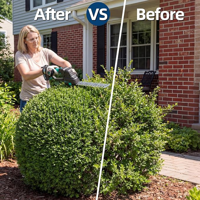 DEXSO Cordless Grass Trimmer Hedge Shears/Grass Cutter - 2 in 1 Handheld Electric Grass Shear with Shrubbery Trimmer Rechargeable Battery & Type-C Cable 2 * 2.0Ah Battery Charge