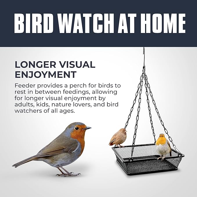 Monarch Abode Hanging Bird Feeder for Outdoors – Hanging Birdfeeder with Iron Mesh Seed Tray for Wild Birds, Matte Black Metal Decorative Wild Bird Feeder for Outside Garden Patio Deck Yard