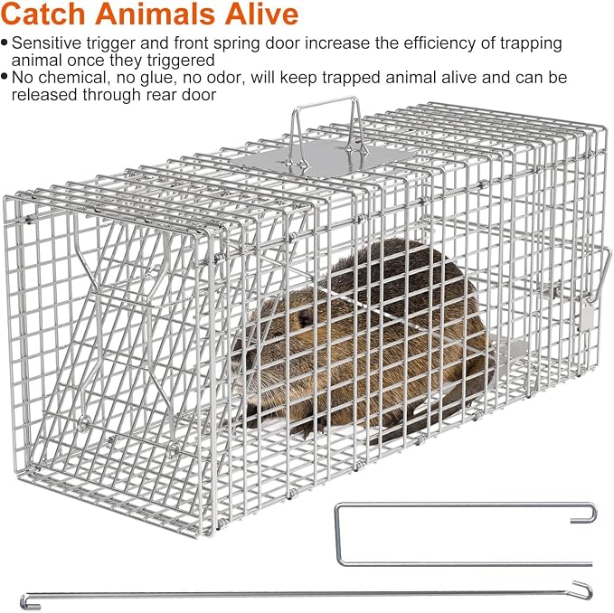 TeqHome Large Live Animal Trap Cage, 31"x11"x12" Live Animal Cage Trap Humane Raccoon Traps Catch Release, Collapsible One-Door Animal Catcher Cage for Cats Opossums Groundhogs Skunks Squirrel Rodent