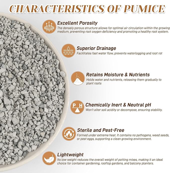 Pumice for Plants, 3 Quarts (1/4 Inch) Horticultural Pumice Stone, Natural Soil Amendment for Succulent Cactus Bonsai for Orchid Potting Mix, Improve Drainage & Aeration