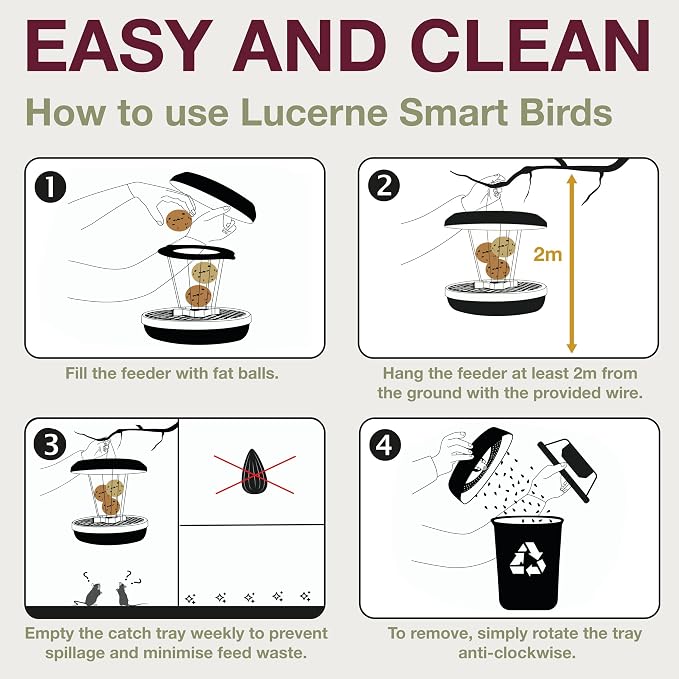 SWISSINNO Bird Feeders - No Mess Fat Ball/Suet Feeder for Outdoors Hanging - Smart Birds Lucerne Spill Proof Wild Cardinal Bird Feeder with Integrated Seed Catcher Tray - Light Grey