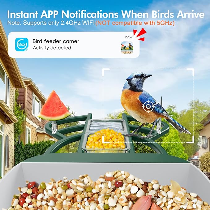 Smart Bird Feeder with Camera Solar Powered, 4K HD Live Video Bird Camera Feeder with AI Identifies,App Control,Instant Arrival Alert,Auto Capture,Motion Detection Bird House (Green)