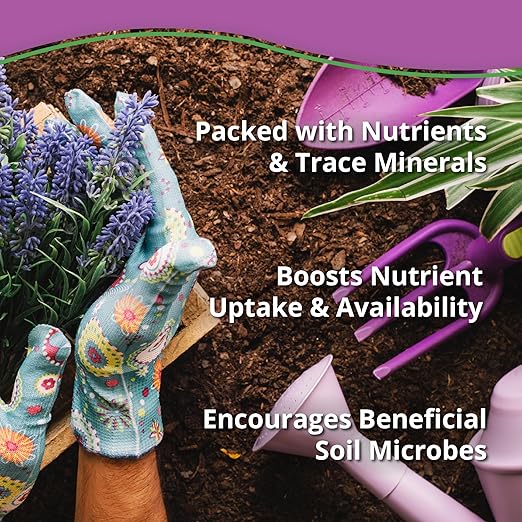 Kelp Meal Organic Fertilizer (2lbs) - Kelp Fertilizer for Plants, Garden Soil, Flowers, Vegetables, & Lawns - Organic Plant Food Rich in Vitamins & Nutrients - 100% Natural Renewable Soil Amendment