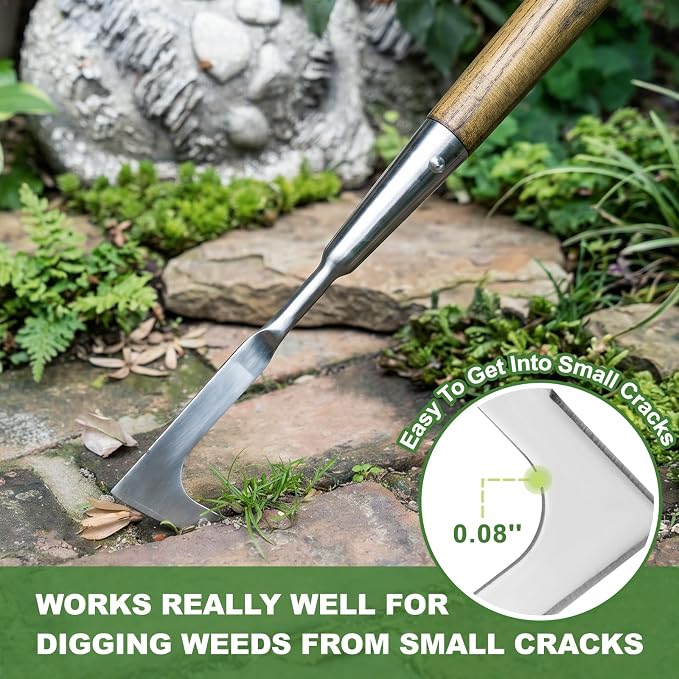 Haliaeetus Long Handle Crack Weeder Tool, 62'' L-Shape Stainless Steel Crevice Weeding Tool, Comfortable Wood Handle Paver Weeder, Sidewalk Weed Removal Tool for Driveway, Bricked Patio,Terrace Paving